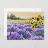 Lavender Sunflower Field Summer Provence Carte pos (Devant / Derrière)