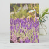 Lavender Tuden Photographic Print (Staand voorkant)