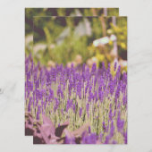 Lavender Tuden Photographic Print (Voorkant / Achterkant)
