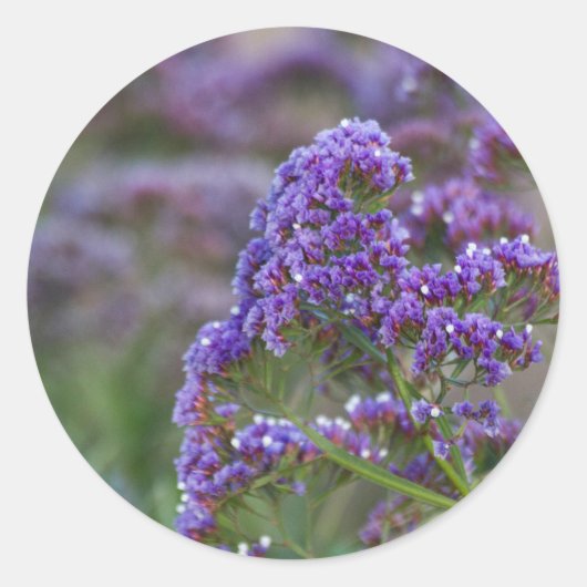 Lavender van de oceaan ronde sticker (Voorkant)