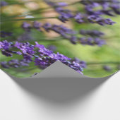 Lavender-veld Cadeaupapier (Hoek)