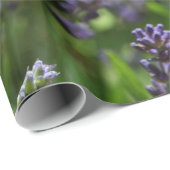 Lavender-veld Cadeaupapier (Rol Hoek)