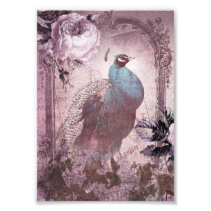 Lavender Victoriaans Peacock Foto Afdruk