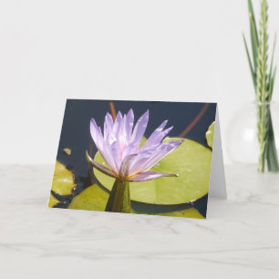 Lavender Water Lily Card Kaart