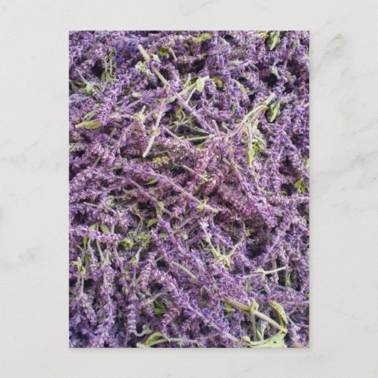 Lavenderbloem patroon briefkaart (Voorkant)