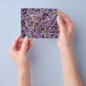 Lavenderbloem patroon flyer (Hand)