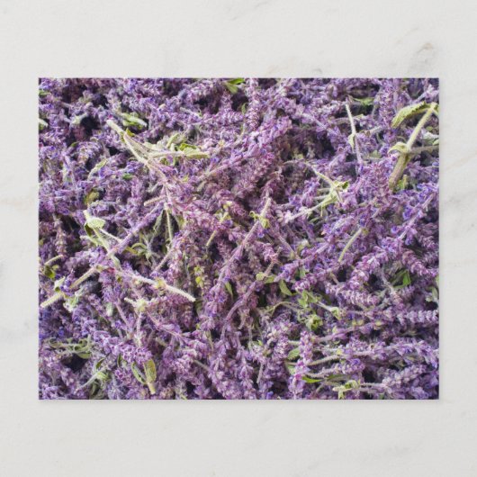 Lavenderbloem patroon flyer (Voorkant)