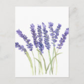 Lavenderbloemen Briefkaart (Voorkant)
