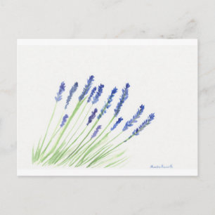 Lavenderbloemen Briefkaart
