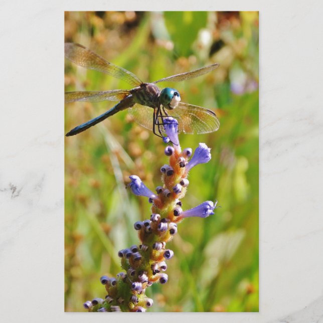 Lavenderbloemlibrie (Voorkant)