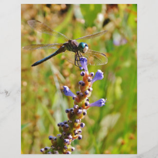Lavenderbloemlibrie