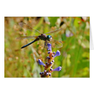 Lavenderbloemlibrie