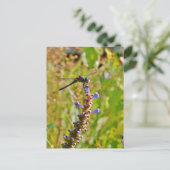 Lavenderbloemlibrie Briefkaart (Staand voorkant)