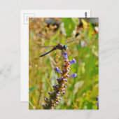 Lavenderbloemlibrie Briefkaart (Voorkant / Achterkant)