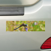 Lavenderbloemlibrie Bumpersticker (Op auto)