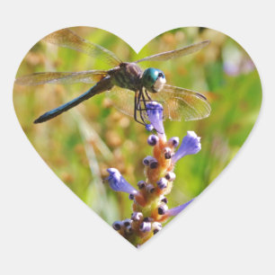 Lavenderbloemlibrie Hart Sticker
