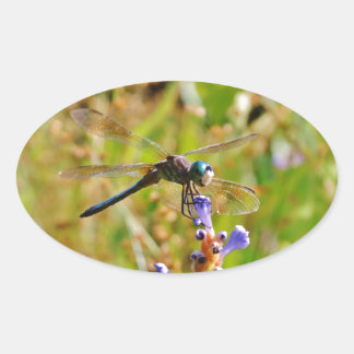 Lavenderbloemlibrie Ovale Sticker