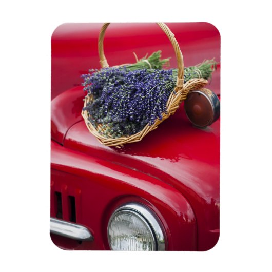 Lavenderbundels rusten op oude boerderijen bestelw magneet (Verticaal)