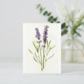 lavenders briefkaart (Staand voorkant)
