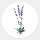  lavenderventiel ronde sticker (Voorkant)