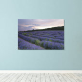 Lavendeveld bij zonsondergang canvas afdruk (Insitu (Houten vloer))