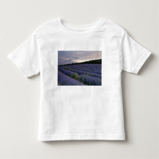 Lavendeveld bij zonsondergang kinder shirts (Voorkant)