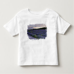 Lavendeveld bij zonsondergang kinder shirts