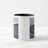 Lavendeveld bij zonsondergang mok (Midden)