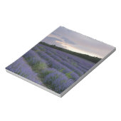 Lavendeveld bij zonsondergang notitieblok (Gedraaid)
