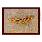 L'avoine Et Le Sable (Devant horizontal)