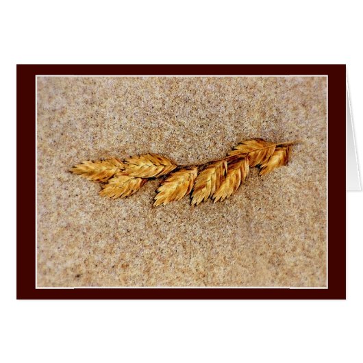 L'avoine Et Le Sable (Devant horizontal)