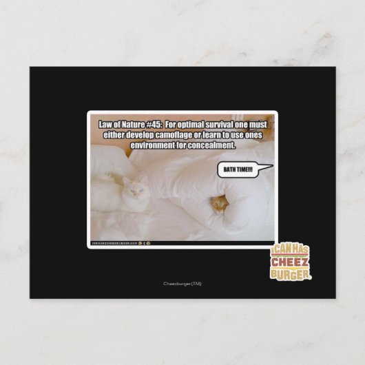 Law of Nature #45 Briefkaart (Voorkant)