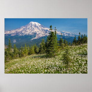 Lawinelelies en Mount Rainier Poster