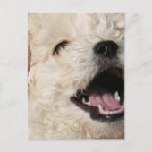 Lawrence-Briefkaart Briefkaart (Voorkant)