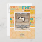 Laws of Kitteh Probability Briefkaart (Voorkant / Achterkant)