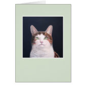 Layla le chat - cadre vert (Devant)