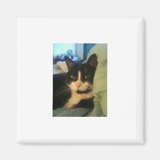 Lazey kat magneet (Voorkant)