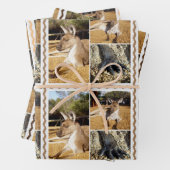 Lazing Kangaroo Photo Collage, Feuilles d'envelopp (En situation)
