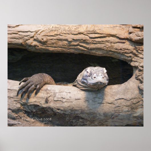Lazing Komodo Poster (Voorkant)