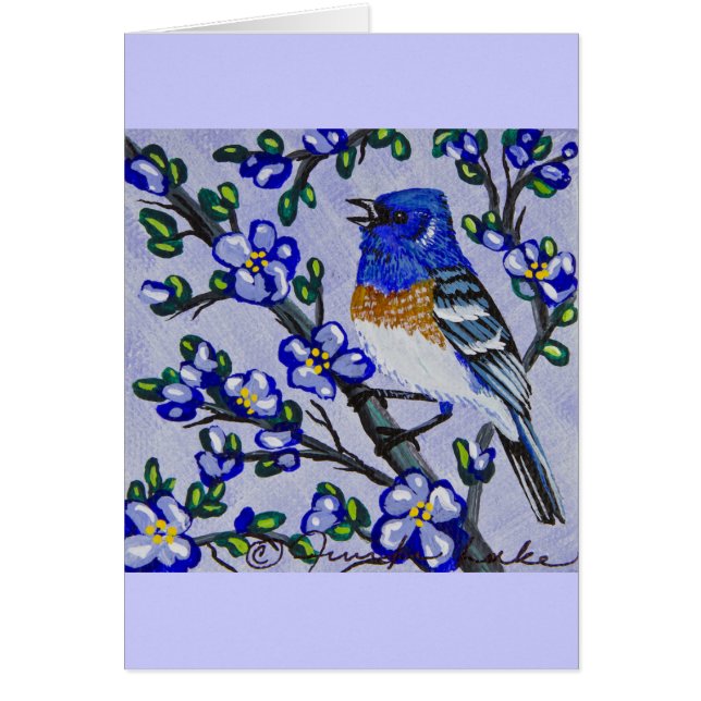 Lazuli Bunting (Voorkant)