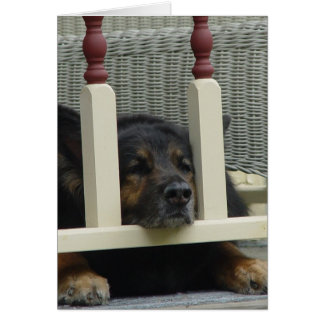 Lazy Aftermiddag Snooze