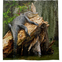 Lazy Alligator Douche rideau de DeGruy