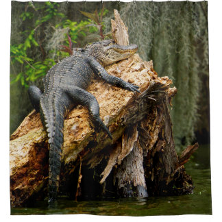 Lazy Alligator Douche rideau de DeGruy