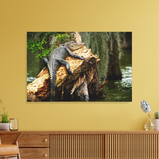 Lazy Alligator Stretched Canvas Afdrukken door DeG (Insitu (Woonkamer))