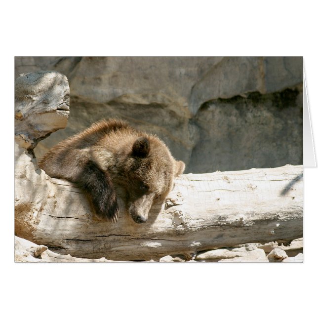 Lazy Beer (Voorkant Horizontaal)