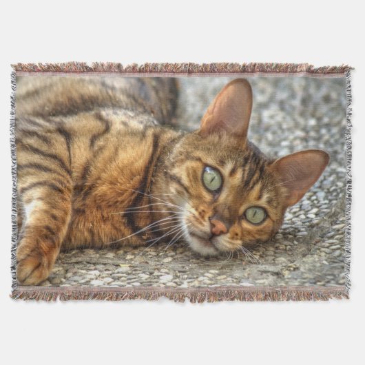 Lazy Bengal Cat Deken (Voorkant)
