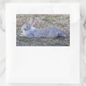 Lazy Bunny Stickers (Tas)