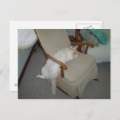 Lazy Cat Briefkaart (Voorkant / Achterkant)