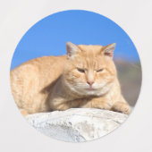 Lazy cat labels (Design 2)