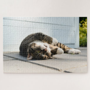 Lazy Cat Lounging op Porch Legpuzzel